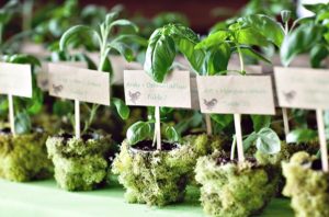idee per nozze eco-friendly