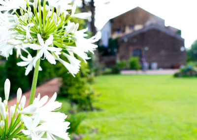 Giardino dell'Etna