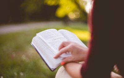 Literary Wedding: un party da amante dei libri.