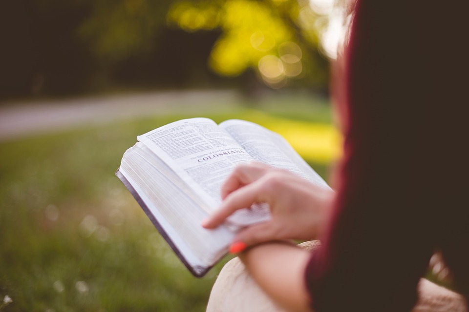 Literary Wedding: un party da amante dei libri.